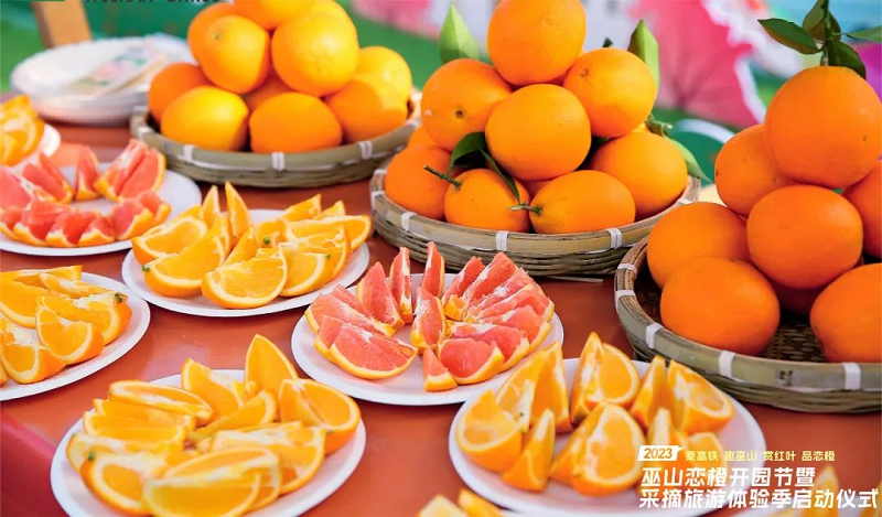 1702346590419492.png 圖片8.png