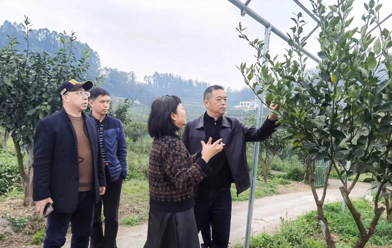 1710409363272729.png 圖片8.png